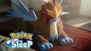 【官方】《Pokémon Sleep》中炎帝將登場！