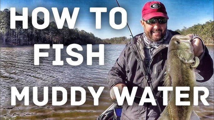 Get Better Bass Fishing in Muddy Water with These Tips 