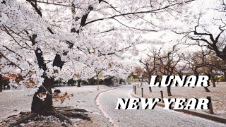 FREE Download Chinese Style Background Music For Videos I No Copyright Music