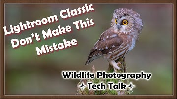 Adobe Lightroom and XMP Sidecars