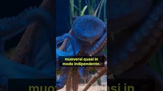 🐙 Il Polpo Più Intelligente del Mare Ti Lascerà Senza Parole! #antartide #astronomia #fattiprofondi