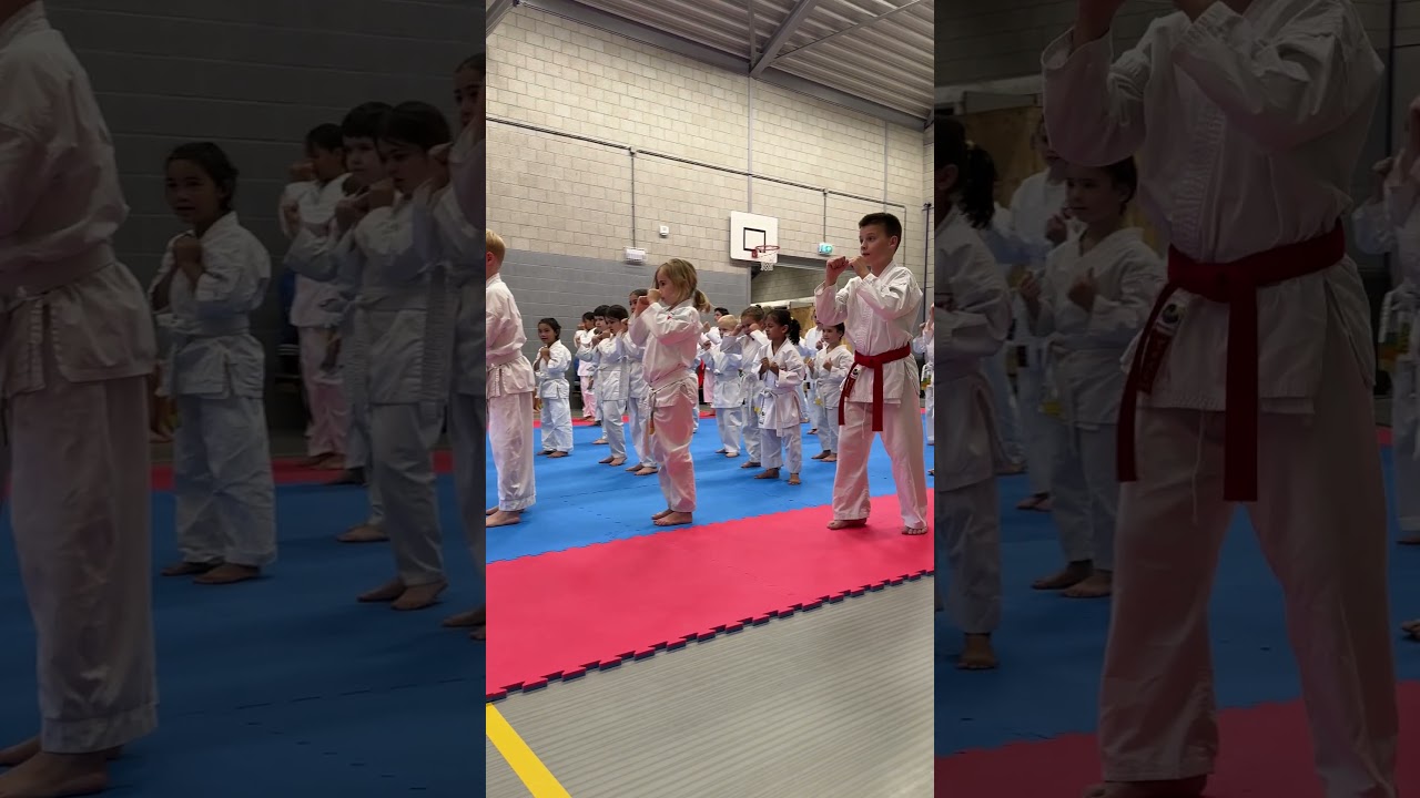 Little Warriors, Big Kicks! 🥋 Karate Kids Master the Mae Geri 
