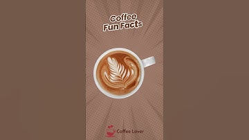Brain Boost: How Coffee Fuels Academic Performance