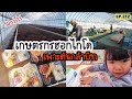 EP.212 | เกษตรกรฮอกไกโด เริ่มฤดูกาลเพาะต้นกล้าบีท มีเด็กๆไปช่วยป่วน