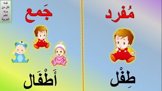 المفرد والجمع | تعليم جمع الكلمات للاطفال | جمع المفردات | learn Arabic