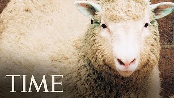 Breakthrough In Cloning Human Stem Cells: Explainer | TIME