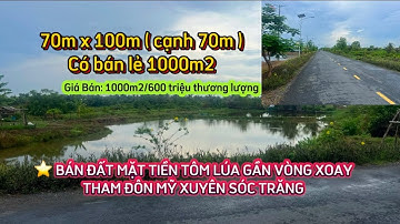 ⭐️ BÁN ĐẤT MẶT TIỀN TÔM LÚA GẦN VÒNG XOAY THAM ĐÔN MỸ XUYÊN SÓC TRĂNG GIÁ ĐẦU TƯ #bđs_đầu_tư