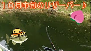 旬のマグナムルアーで秋を楽しみました♪