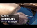 Запуск биофильтра УЗВ - простая инструкция