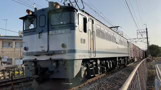 EF65 2050