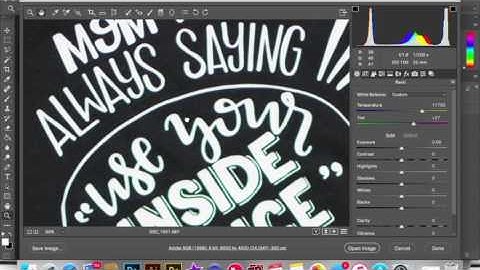 Removing Chromatic Aberration in Adobe Camera Raw and a Quick way to Sharpen Edges in Photoshop
