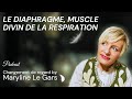 Le diaphragme muscle divin de la respiration par excellence