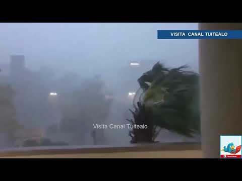 Vídeo: Se Espera Que El Huracán Florence Golpee Las Carolinas Con Vientos Extremos E Inundaciones