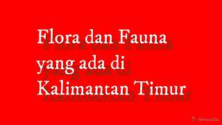Flora dan fauna yang ada di kalimantan timur