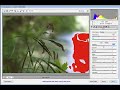 Camera RAW basics video tutorial