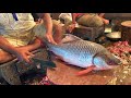 Big Rohu Fish Slicing; Expert Fisherman Rohui Fish Cutting Skills Live In Bangladeshi Fish Market