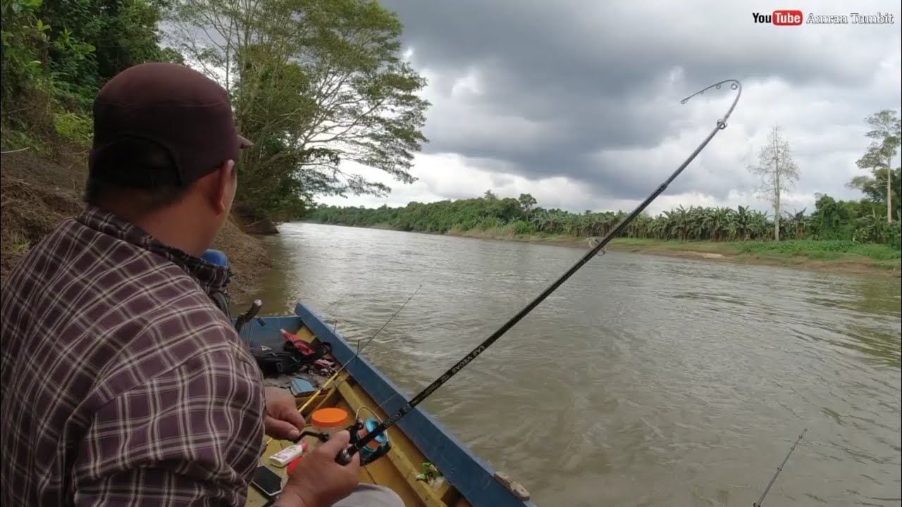 Mancing, Umpan KUCUR vs JANGKRIK || Hasilnya rame meriah 