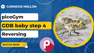 picoGym (picoCTF) Exercise: GDB baby step 4