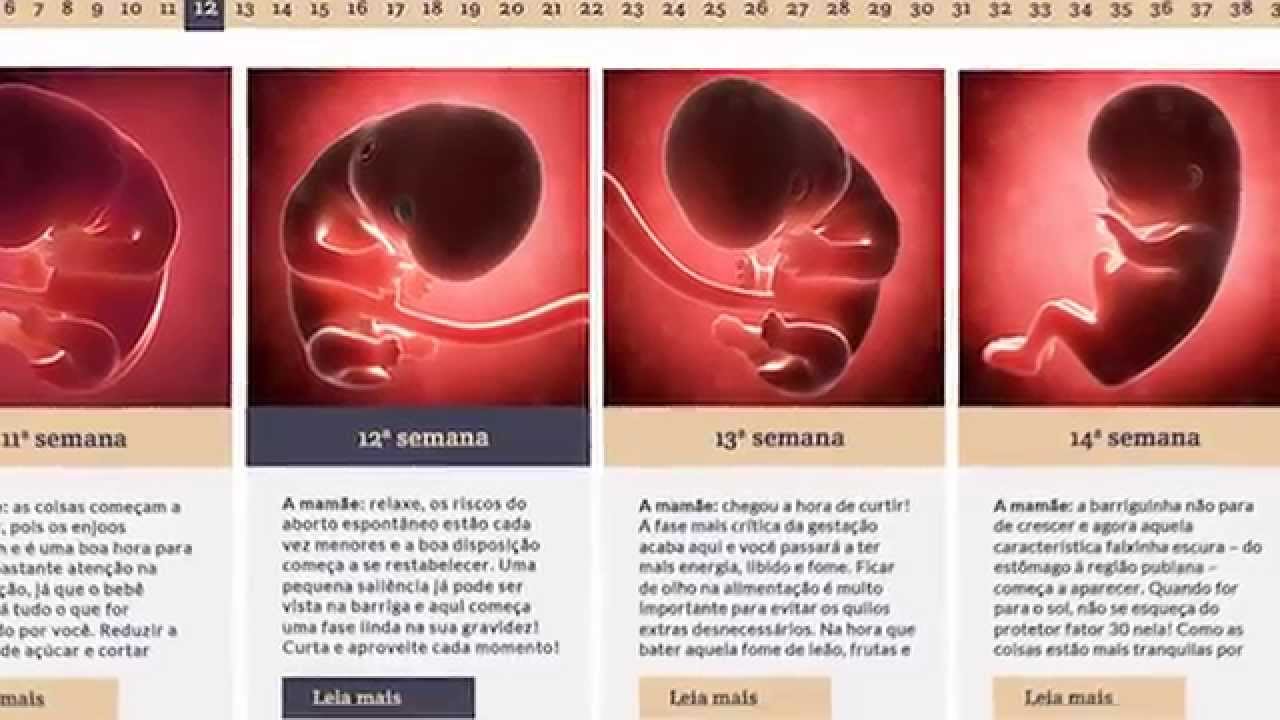 Portal Sobre Elas - Calculadora de Gravidez - YouTube