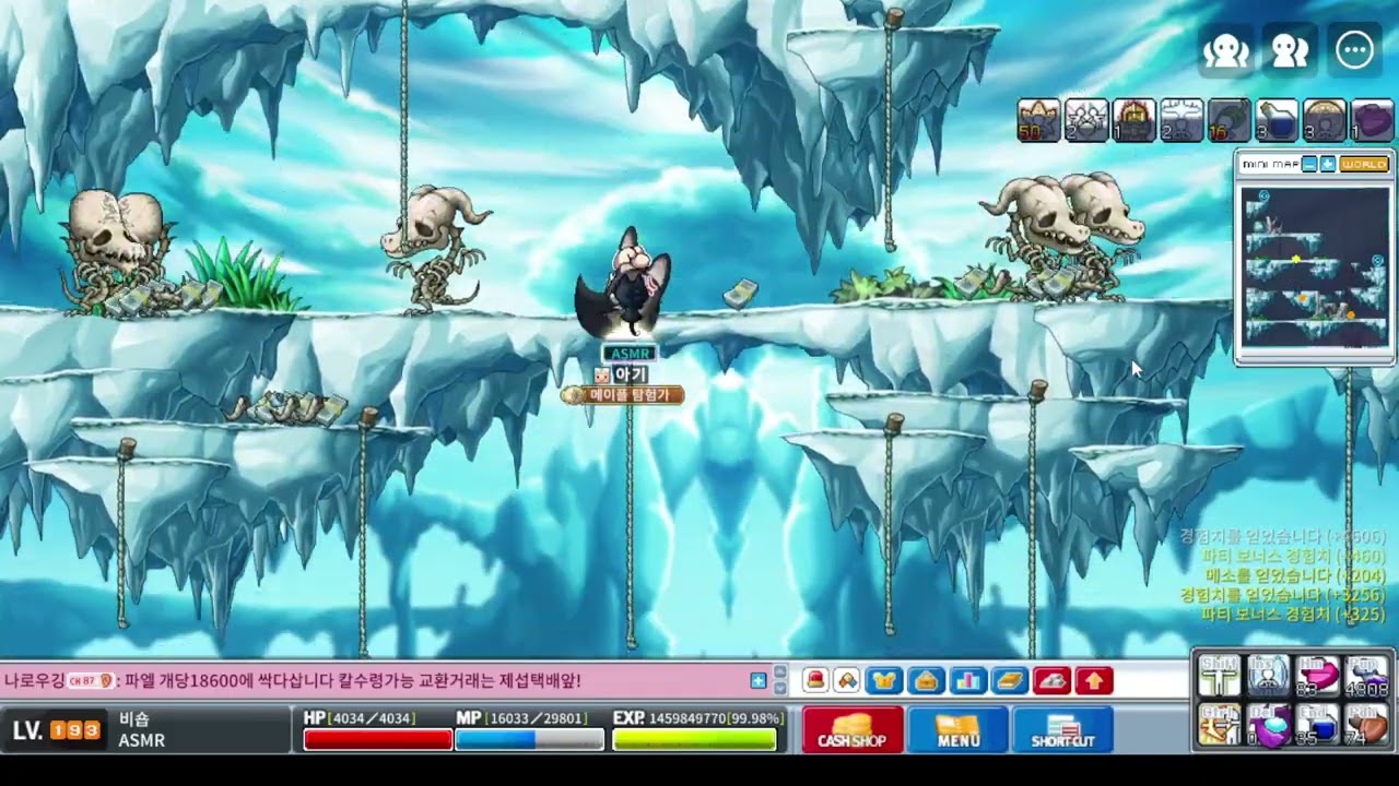 메이플랜드 비숍 194 레벨업!!