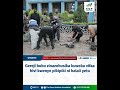 HATUTA DILI NA MWENDESHA PIKIPIKI TU HATA WENYE GEREJI WANAO WEKA HIZI TAA NA TRAMPA 