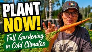 Plant These Now for a Late Season Harvest!  Zone 3 Gardening