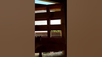 Darts indoors and outdoors! pallet shed built around a dartboard!! cheap easy build pallet man cave