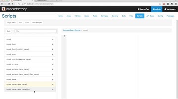 DreamFactory Admin Console: How to Use the Scripts Tab