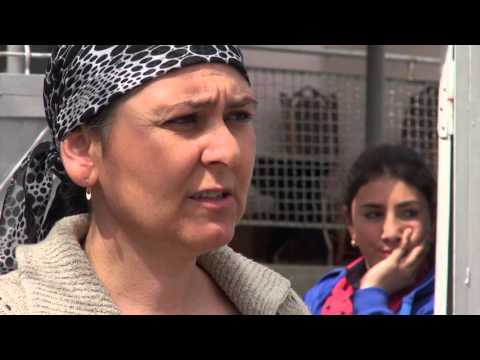 რეპატრირებული მესხების ნაწილი სკოლას ატესტატის გარეშე ამთავრებს