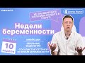 10 неделя беременности УЗИ, ощущения, развитие плода, как выглядит ребенок, кровянистые выделения