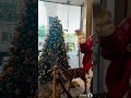 Santa Come to Galadari Hotel Colombo Sri lanka . Christmas deco at galadari hotel Lunch buttet