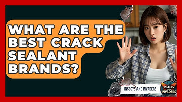 What Are The Best Crack Sealant Brands? - Insects and Invaders