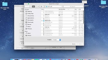 ENG 6 Project: Audio Sampler