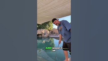 Pool Skimmer Hacks - Quick & Easy Cleaning Tips!