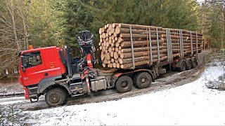 Tatratraktor v lese
