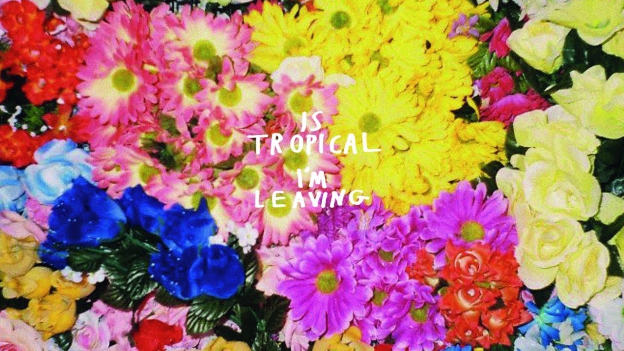 Is Tropical - Cry acordes