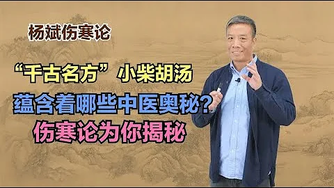 “千古名方”小柴胡汤，蕴含着哪些中医奥秘？伤寒论为你揭秘 - 天天要闻