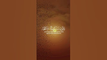 سورة الفتح 29 💚