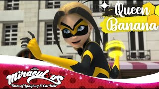 Miraculous Ladybug ซีซั่น 4 ตอนที่ 8 Queen Banana (พากย์ไทย)