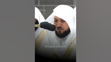 یَـٰۤأَیُّهَا ٱلَّذِینَ ءَامَنُوا۟ لَا تَقۡرَبُوا۟ ٱلصَّلَوٰةَ |سورة النساء |الشيخ ماهر المعيقلي