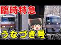 【超地獄!】100円で乗れる元西武レッドアロー 臨時特急「うなづき」号に乗ったらカオスすぎた…【富山地鉄】
