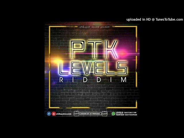 Ptk Levels Riddim 2016-(pro by Ptk & Levels)Official Mixtape by Dj Washy+27 739 851 889 class=