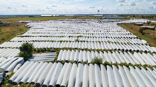 ‘Turbine graveyards’ sprawled across Texas