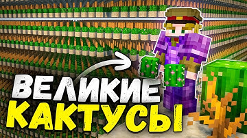 МЫ ПОСТРОИЛИ самую БОЛЬШУЮ ферму КАКТУСА на Анархии - Майнкрафт ФанТайм