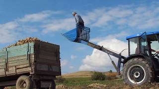 Hayri Emmi Yukarı Düşersin