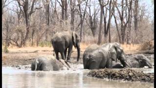 Malawi Tourist Attractions at a Glance