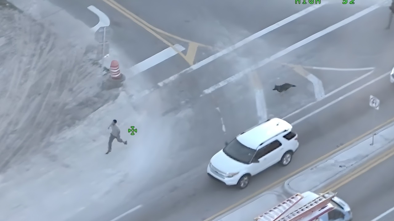 Fleeing Suspect Crashes, K-9 Takes Him Down - YouTube