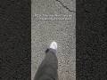 POV: REALIZING SOMETHING PRETTY AMAZING... #waterfasting # weightlossjourney #72hourfast