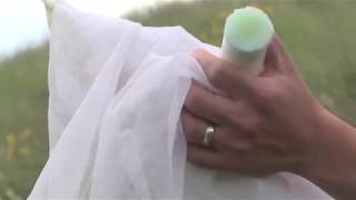 How to Move a Bumble Bee from a Net to a Vial