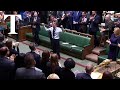 Tory MP Craig Mackinlay gets standing ovation in Commons after sepsis